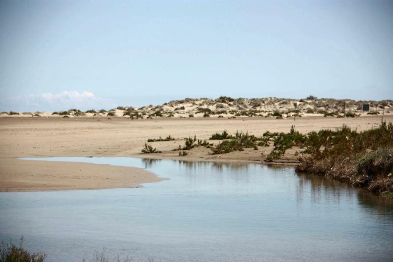 Mi Apartamento En El Delta Del Ebro+ Deltebre Buitenkant foto