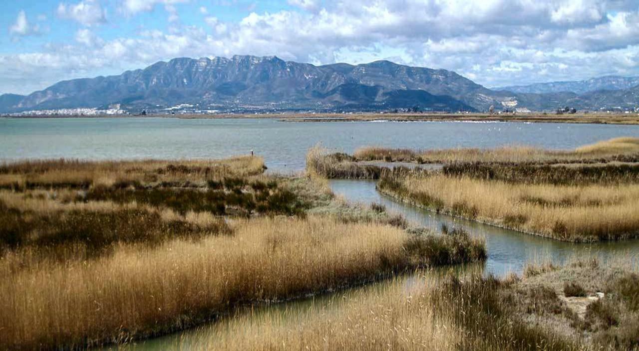 Mi Apartamento En El Delta Del Ebro+ Deltebre Buitenkant foto