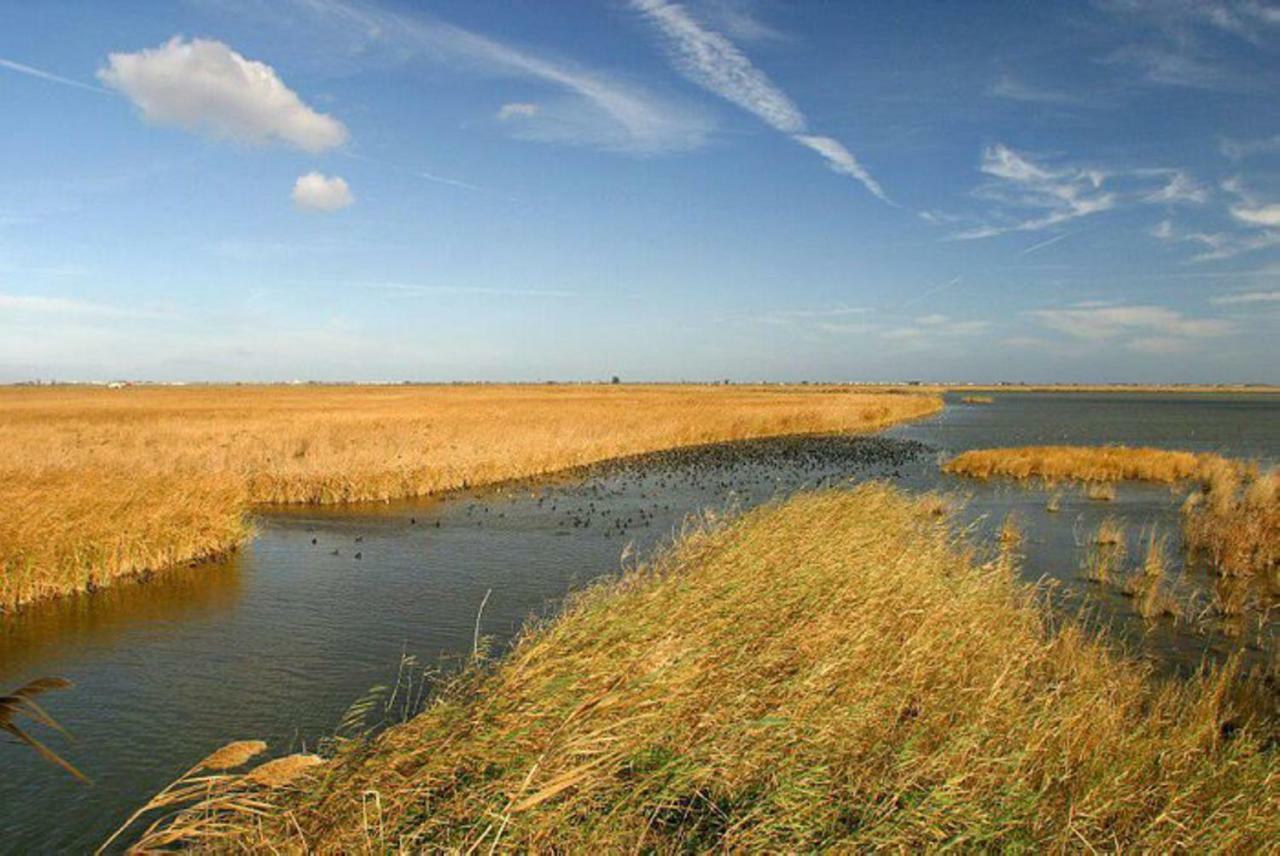 Mi Apartamento En El Delta Del Ebro+ Deltebre Buitenkant foto