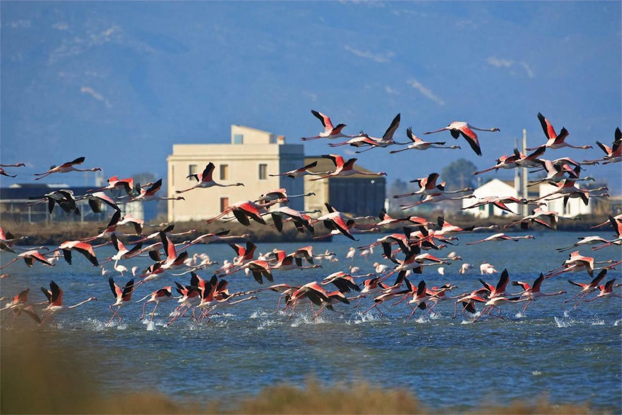 Mi Apartamento En El Delta Del Ebro+ Deltebre Buitenkant foto