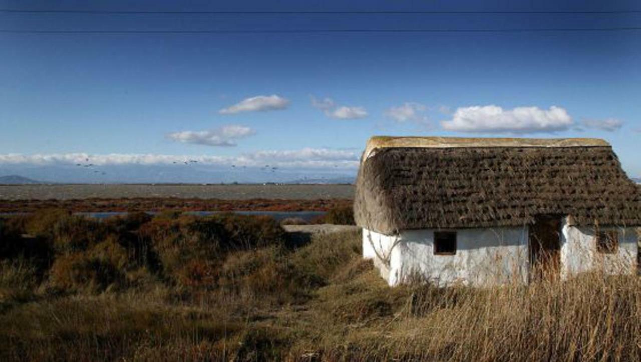 Mi Apartamento En El Delta Del Ebro+ Deltebre Buitenkant foto