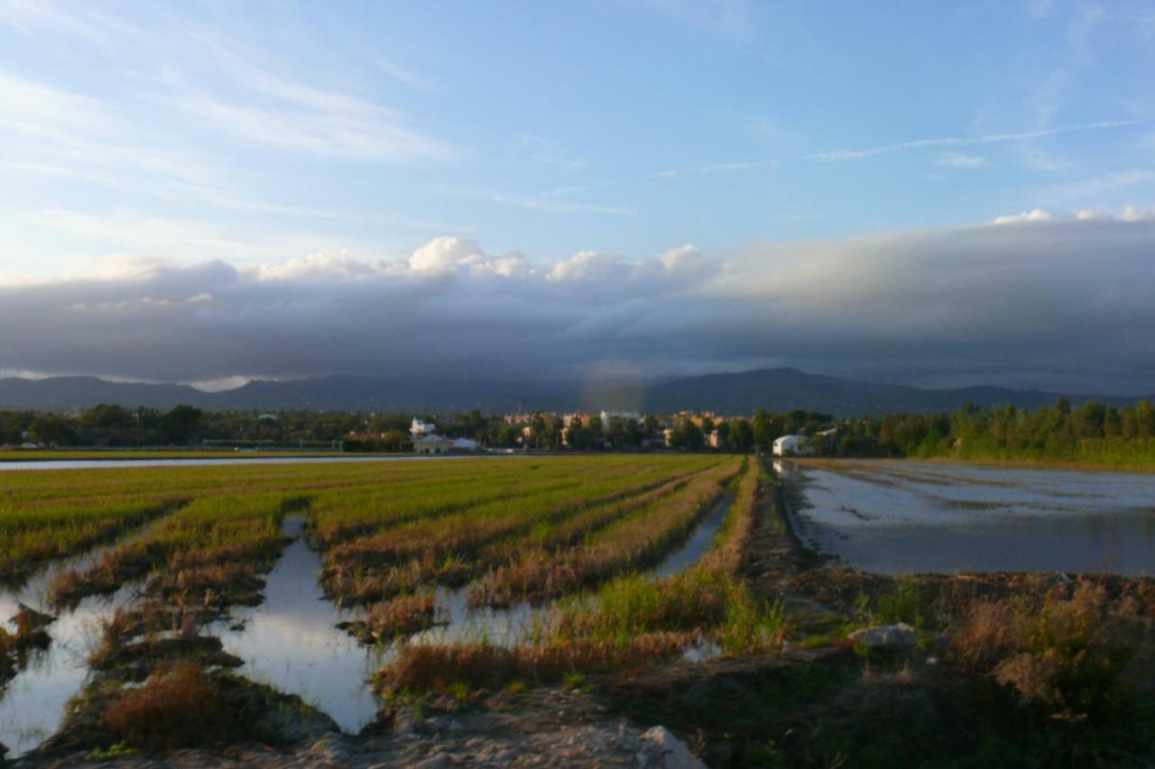 Mi Apartamento En El Delta Del Ebro+ Deltebre Buitenkant foto